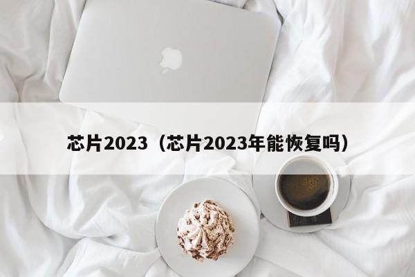 芯片2023（芯片2023年能恢复吗）