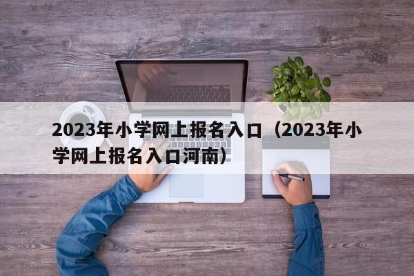 2023年小学网上报名入口（2023年小学网上报名入口河南）