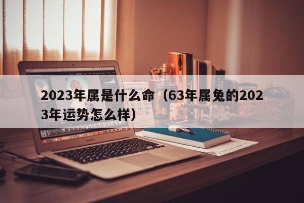 2023年属是什么命（63年属兔的2023年运势怎么样）