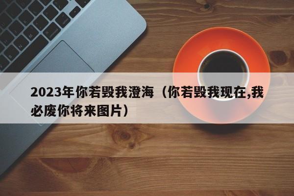 2023年你若毁我澄海（你若毁我现在,我必废你将来图片）