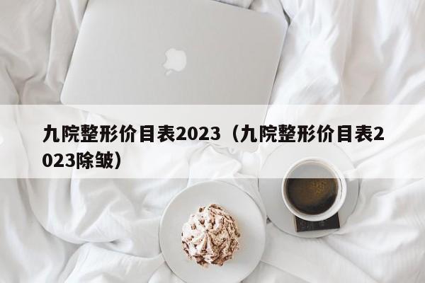 九院整形价目表2023（九院整形价目表2023除皱）