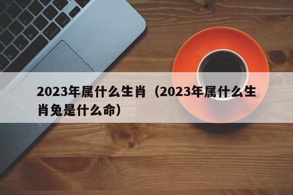 2023年属什么生肖（2023年属什么生肖兔是什么命）