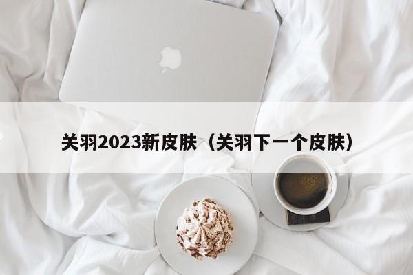 关羽2023新皮肤（关羽下一个皮肤）