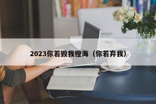 2023你若毁我橙海（你若弃我）