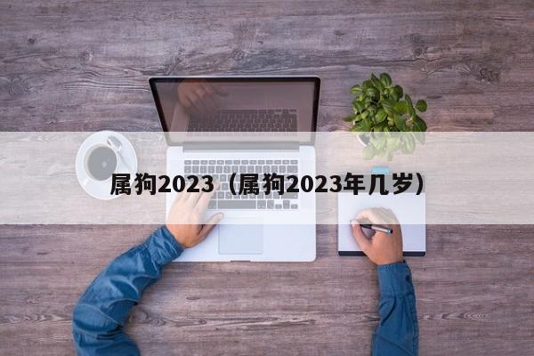 属狗2023（属狗2023年几岁）